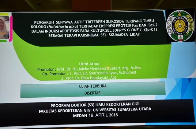 Sidang Promosi S3 UTMI ARMA